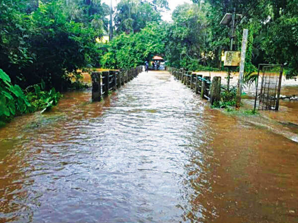 Goa: Paroda bridge submerged after Kushavati overflows