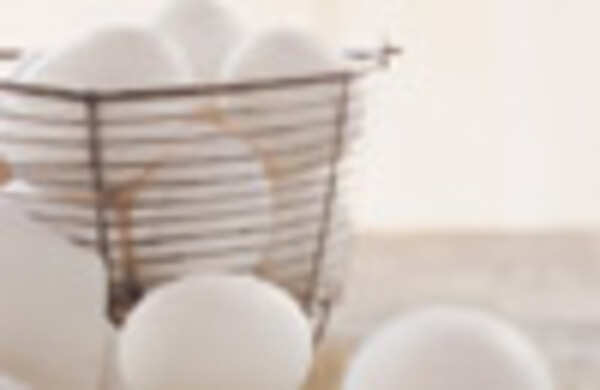 All about a fried egg