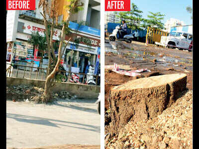 Over 40 trees axed in Narhe; locals cry foul Over 40 trees axed in Narhe; locals cry foul