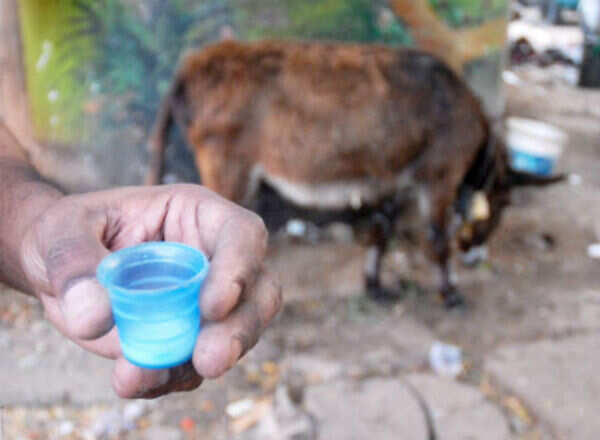 Can donkey milk substitute cow and breast milk?