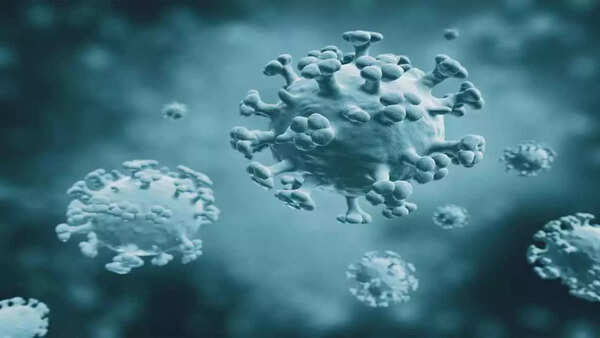 40%-70% of Kolkata flu cases test positive for H3N2, report labs