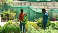 Srinagar residents fulfilling gardening hobby during extended lockdown 