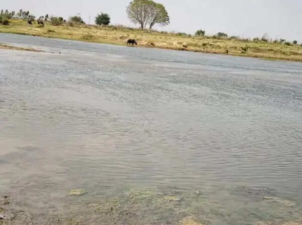 3 children drown in Parvati river in Dholpur