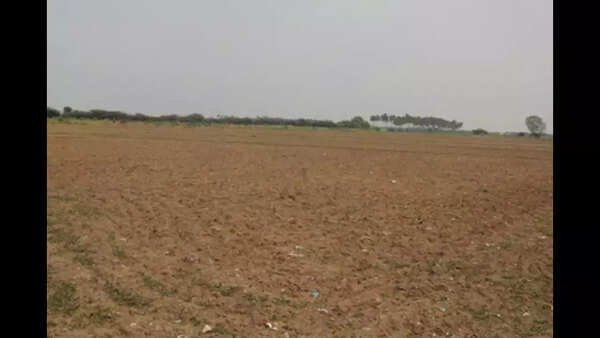 Justice stuck in red tape, land mafias in Goa make hay