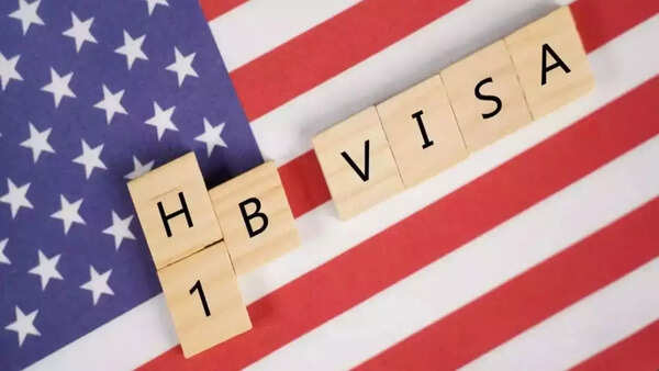 H-1B visa 'crisis': Are Indians taking over US? What numbers say