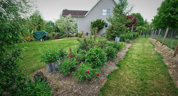 The narrow bed mistake: Why your slim front garden looks cluttered instead of elegant