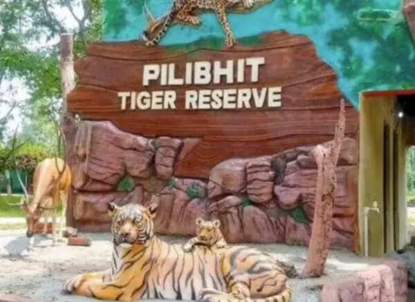 UP tiger reserves ban mobile phones; tourists, wildlife lovers unhappy