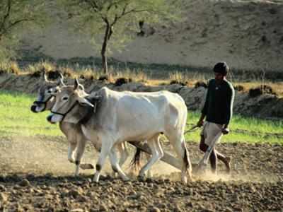NITI Aayog Index lists Maharashtra as most farmer-friendly state
