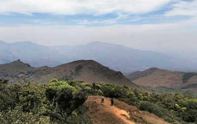 Triptease: Tadiyandamol peak