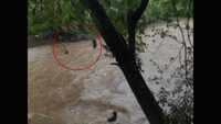 Maharashtra: 15 youngsters trying to cross river in Vasai rescued by locals 