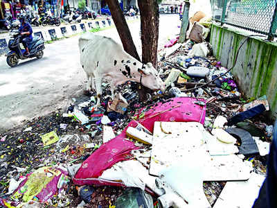 Bengalureans, beware of the trash police