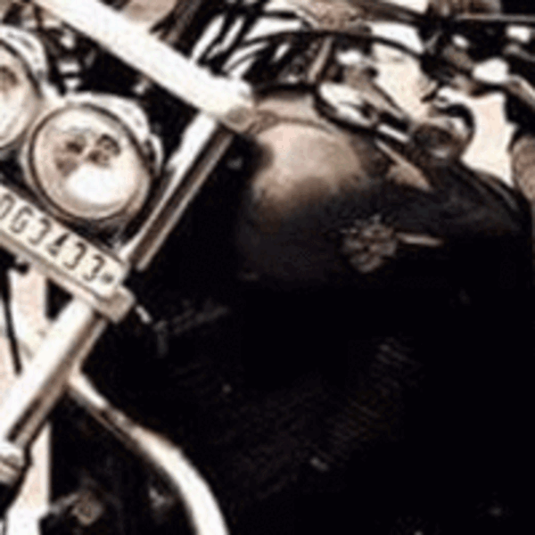 Veenu Paliwal, famous woman biker, dies in MP