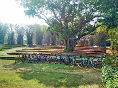Mahim Nature Park: Prep to give away park to builders began last year