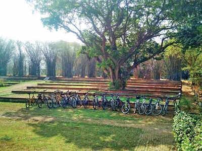 Mahim Nature Park: Prep to give away park to builders began last year