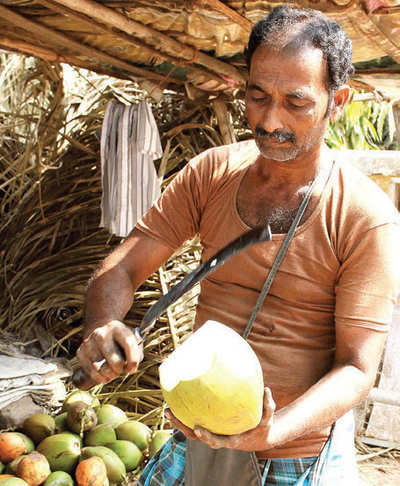 Plastic ban: City coconut vendors irked