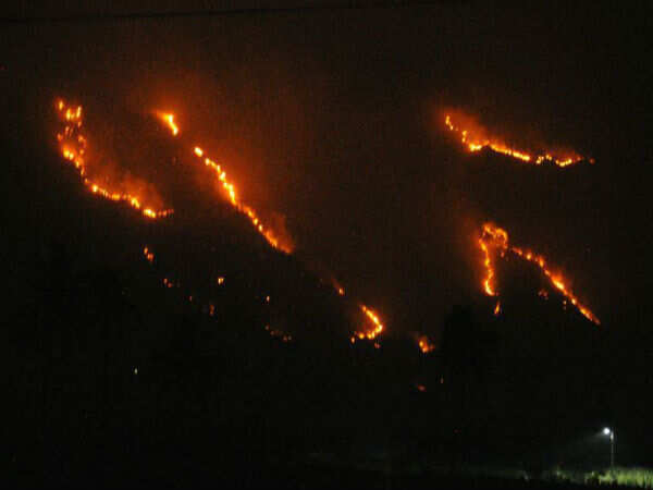 Is Kurangani hills mishap a wake-up call?