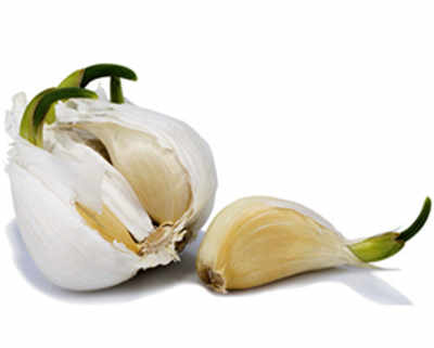 Sprouting garlic has heart-healthy antioxidants