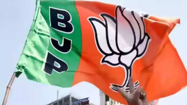 BJP appoints co-accused in Badlapur sexual abuse as Co-opted councillor