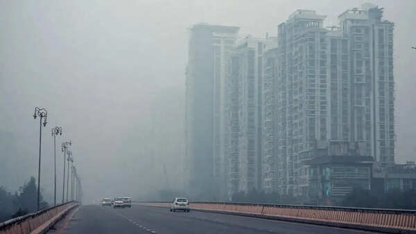 57,670 environment and pollution-related crimes in 2024, most were under anti-tobacco law
