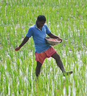 Gulf War no blip. It&rsquo;s time to take some hard decisions on fertiliser &lsquo;revdis&rsquo;