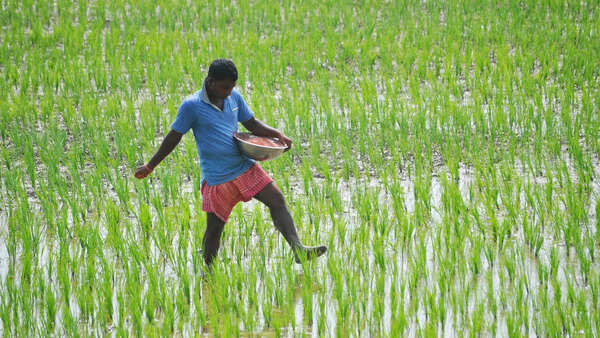 Gulf War no blip. It’s time to take some hard decisions on fertiliser ‘revdis’