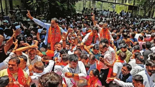Gujarat local body polls: BJP wins over 90% seats, 10 civic bodies left without LoPs