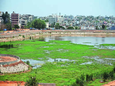 As heat is on, Bengaluru gears to regain its blue-green spaces