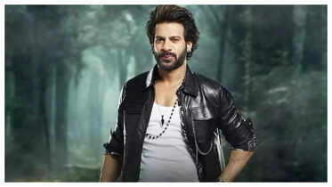 Exclusive - Karan Veer Mehra on Asim Riaz's fight on Khatron Ke ...
