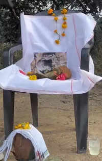 Funeral for elephant calf blurs man-animal lines in CG village