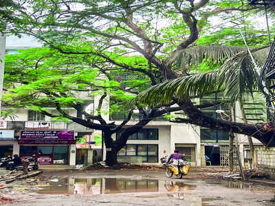 Wading outside police station in Indiranagar