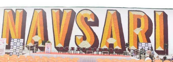 ‘Navsari’ blooms into Guinness record with flower show