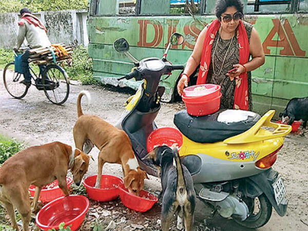 West Bengal woman takes Rs 3 lakh loan to look after strays