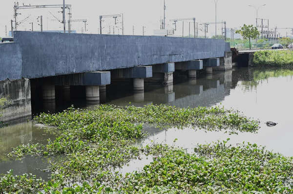 Velachery residents oppose eco park project along six-vent culvert