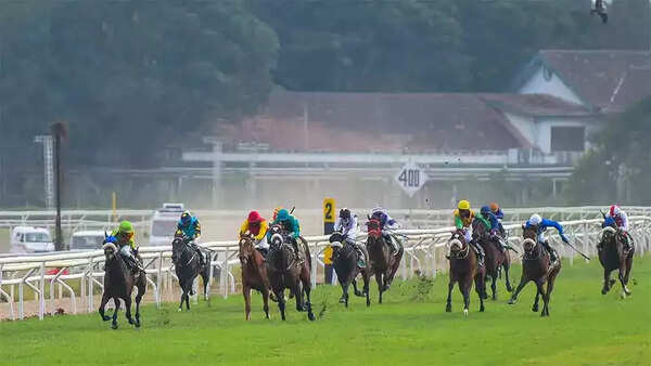 Psychic Star for Indian Oaks