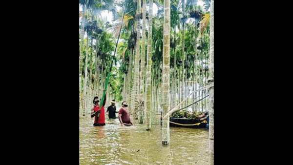 Crops across 300 acres washed away in Davanagere