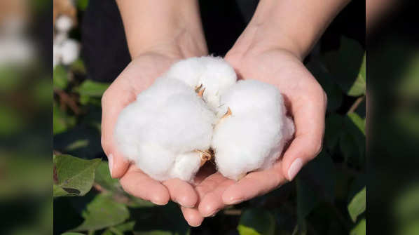 9 oldest varieties of cotton found around the world