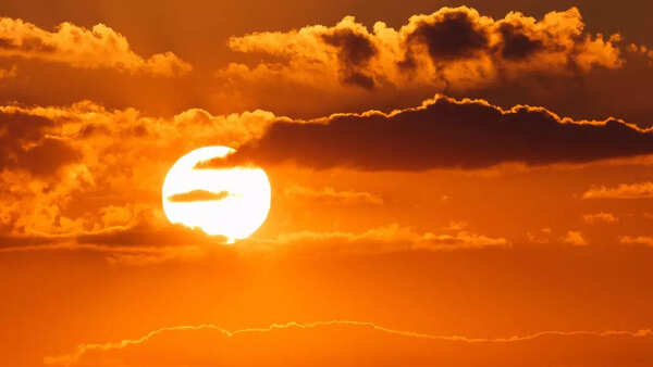 Sun Transit in Aquarius 2026: Its impact on your zodiac sign