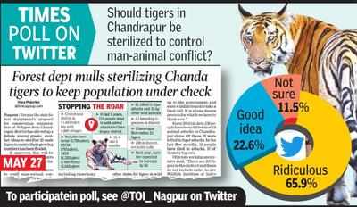 ‘Neutering tigers to avoid conflict is hare-brained’
