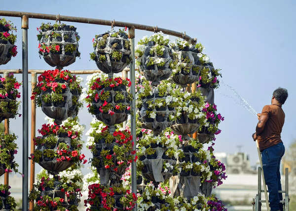 Future Delhi may tap recycled water for toilets, gardens