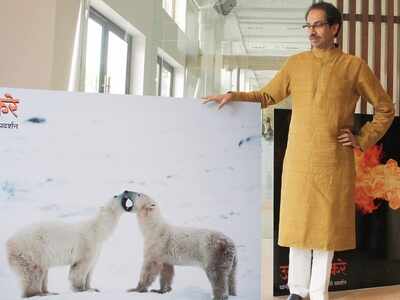 Photos: Uddhav Thackeray shares pictures clicked by him on World Photography day, others join him