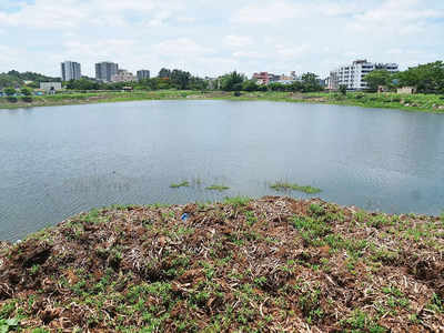 Lake story, first as tragedy, then farce