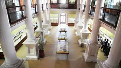 Government museum to launch app on artefacts