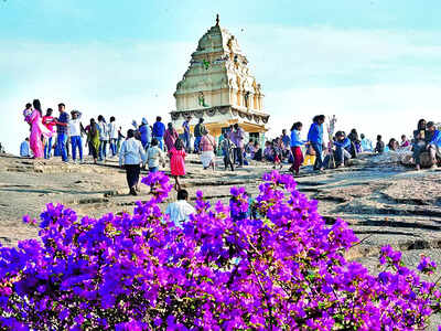 Litterbugs are spoiling the scene at Lalbagh