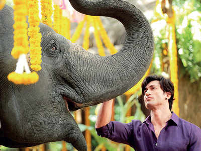 Vidyut Jammwal on Junglee which opens on April 5
