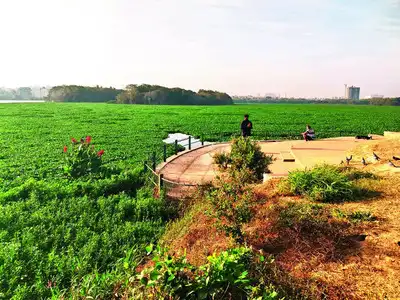 BM Property: Bengalureans flock to farmlands near Mysuru for a tranquil escape