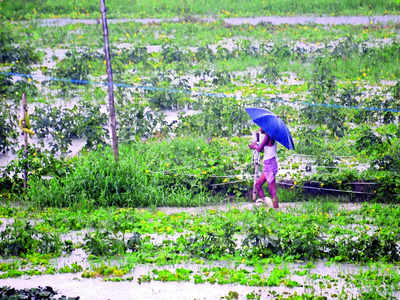 Agri gloom as climate change casts cloud