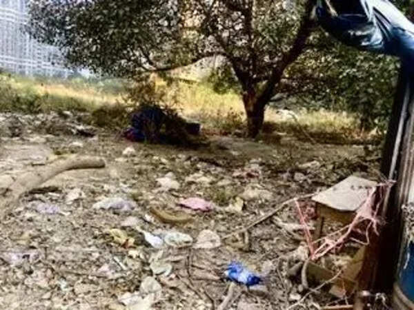 Crumbling roads, neglected green spaces: What ails Noida’s Sector 75