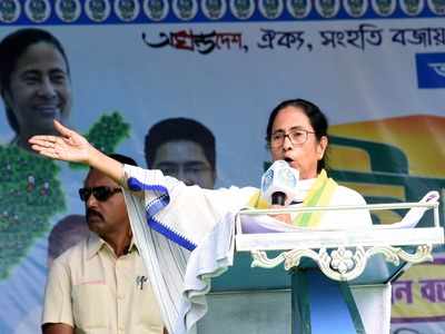 West Bengal CM Mamata Banerjee: People voted PM Modi by mistake, same will not happen again