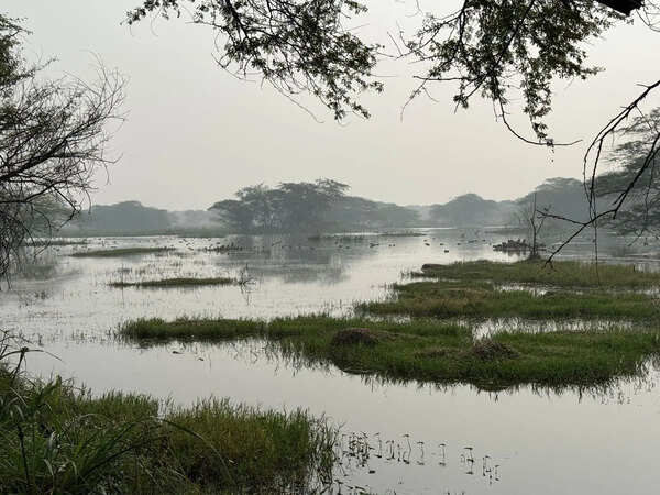 Rain gone, IMD out with heatwave alert for this week