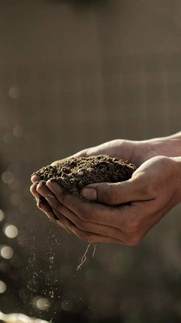 3,090 soil samples to be tested in Buxar